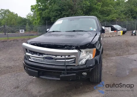 2009 Ford F-150 Fx4/King Ranch/Lariat/Platinum/Xl/Xlt z USA, uszkodzony, nr VIN 1FTPW14V39FA99058